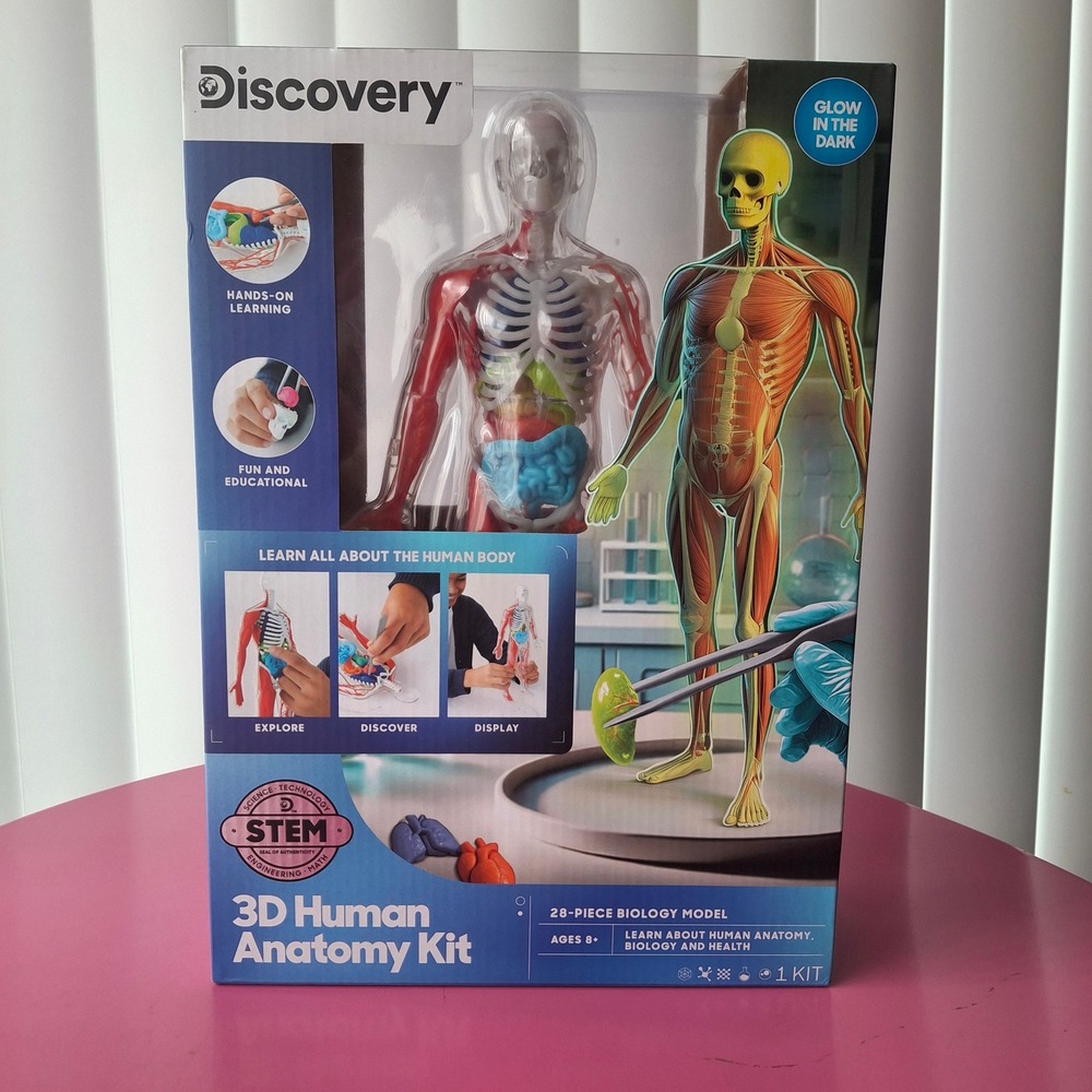 Discovery 3D Human Anatomy Kit 28-Piece Biology Model Glow in the Dark STEM Toy